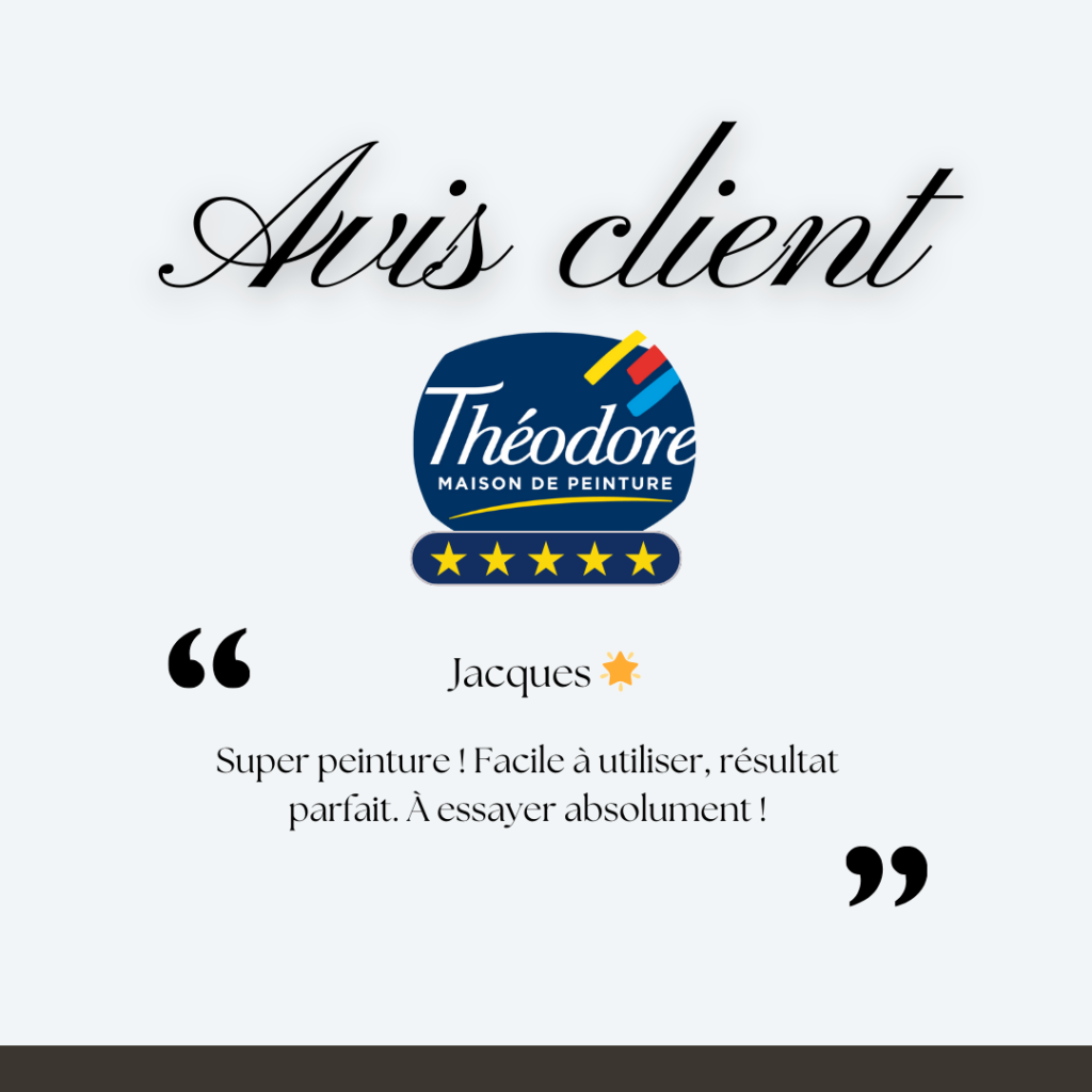 Avis client du produit theodore