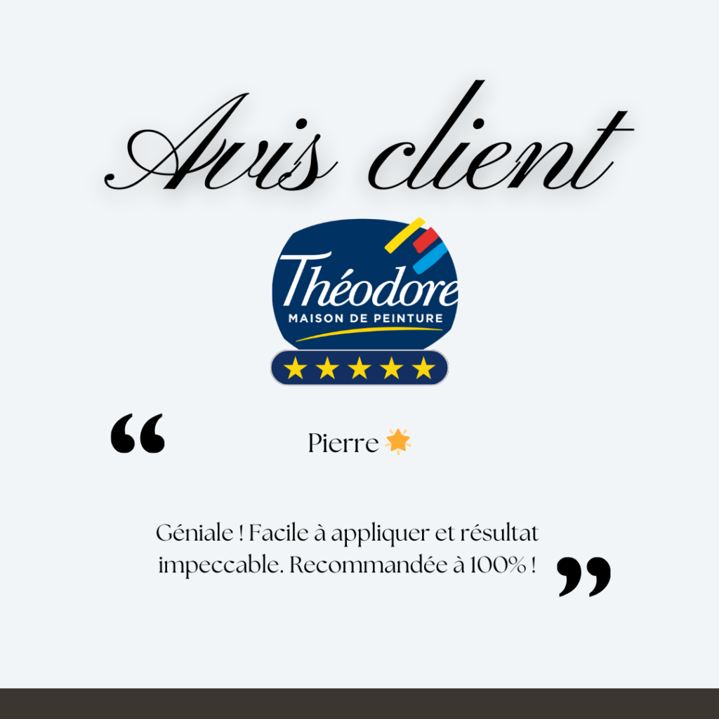 Avis client d'un produit theodore